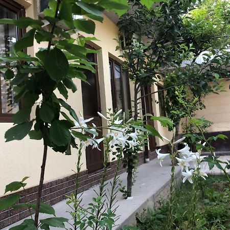 Дом Отель Бадамзар Τασκένδη Εξωτερικό φωτογραφία